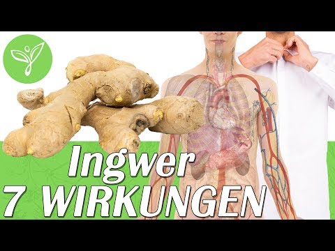Wie man die Übungen für die Prostata zu tun Jane Pflanze Prostatakrebs