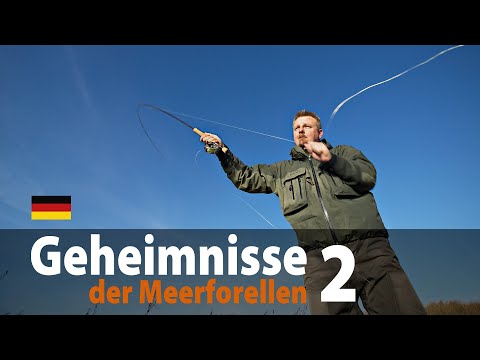 Geheimnisse der Meerforellen 2 - Fliegenfischen