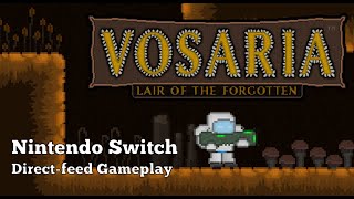 Vosaria: Lair of the Forgotten (Nintendo Switch) (HQ)