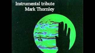 John Martyn Tribute   Solid Air  Mark Thornley
