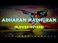 Adharam Madhuram || Slowed+Reverb || Swasti Mehul Music || Lofi || @audiophile-lofi-records