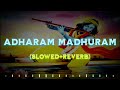 Adharam Madhuram Slowed Reverb Swasti Mehul Music Lofi Audiophile Lofi Records