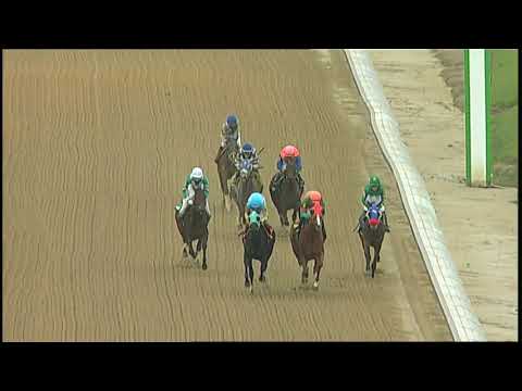 LAUREL PARK 1 5 2019 RACE 4