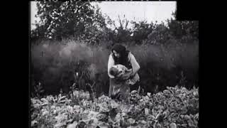 Un petit frère sous les choux (1906) New Brother (Pathé)