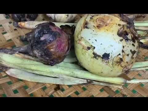 Protein tinggi, olahan daging sapi