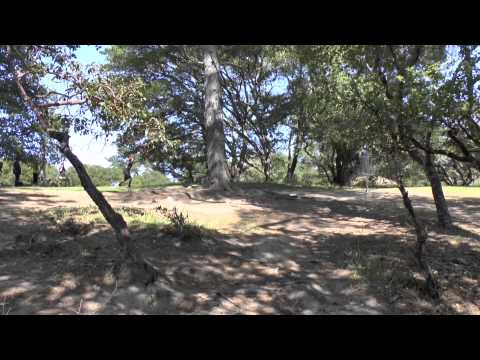 DeLa / Masters Cup Preview Holes 11 14