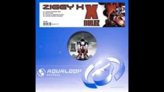 Ziggy-X - X-Rulez (Lüneburg HS Mix)