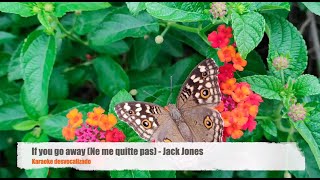 Download lagu If You Go Away (Ne me quit pas) - Jack Jones (Karaoke desvocalizado) mp3 Download lagu If You Go Away (Ne me quit pas) - Jack Jones (Karaoke desvocalizado) mp3