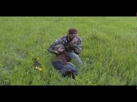Traditional turkey bowhunt- Bowhunting 365 vol. 1 - (2...