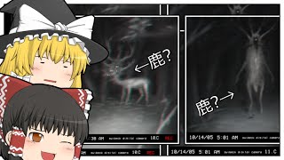 【ゆっくり解説】鹿くん、虎視眈々と擬態【トレバーヘンダーソンクリーチャー解説】