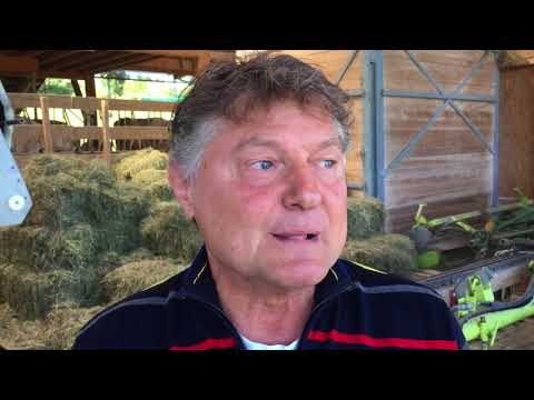 FCZ-Präsident Ancillo Canepa wirbt für «Vo Puur zu Puur»