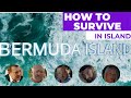 Bermuda Island (2023) full movie trailer