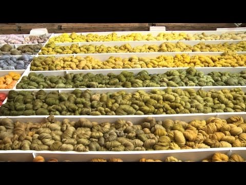 A Malines, les tapisseries anciennes retrouvent leur éclat