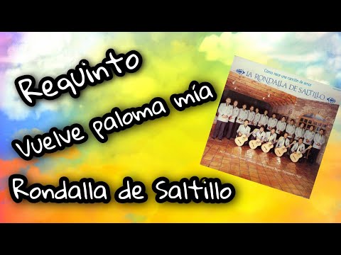 Vuelve Paloma Mía - La rondalla de saltillo