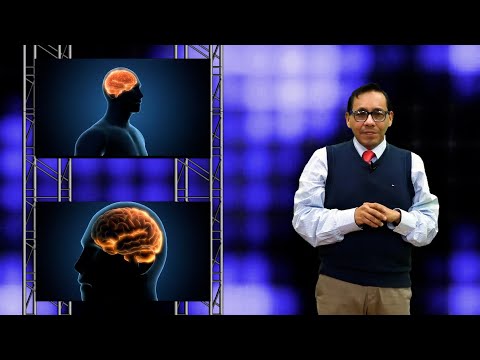 A Dive into Your Brain | Eduardo Calixto