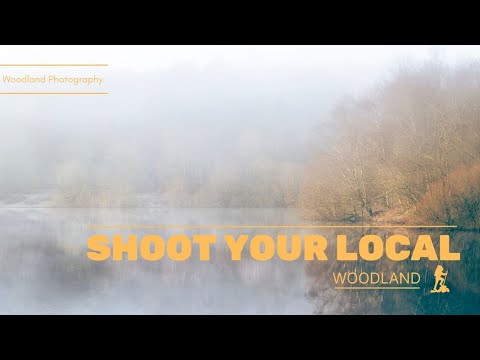 Photograph Your Local Woodland, there's always a change !