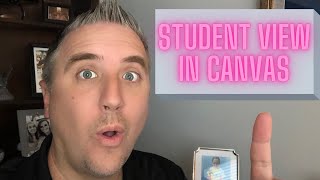 How To Use “Student View” in Canvas