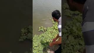 preview picture of video 'Fishing In Pakistan River Ravi River Sutlej river chenab river jhelum Angling in Pakistan'