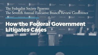 Click to play: How the Federal Government Litigates Cases