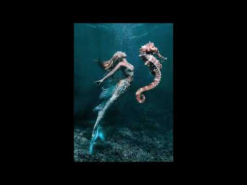 Rimsky Korsakov  - Scheherazade 1888