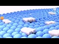 Samsung Logo Balls In X Major 713