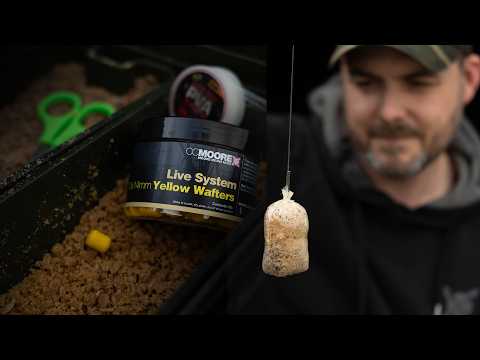 Day Ticket Tips & Tactics For Autumn/Winter - Carp Fishing