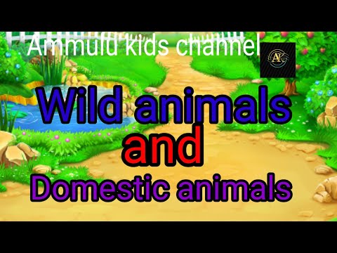 Learn about wild animals and domestic animals