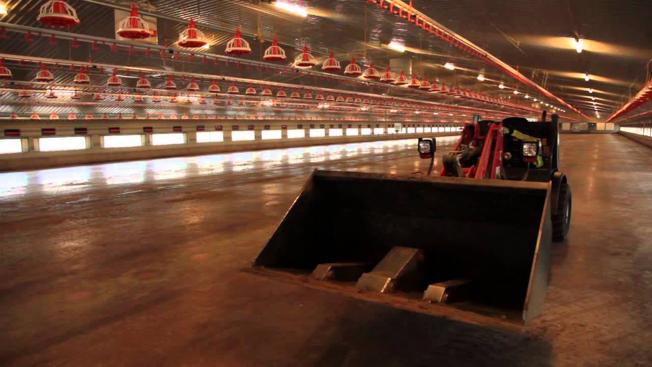 Gamber Poultry Cleaning