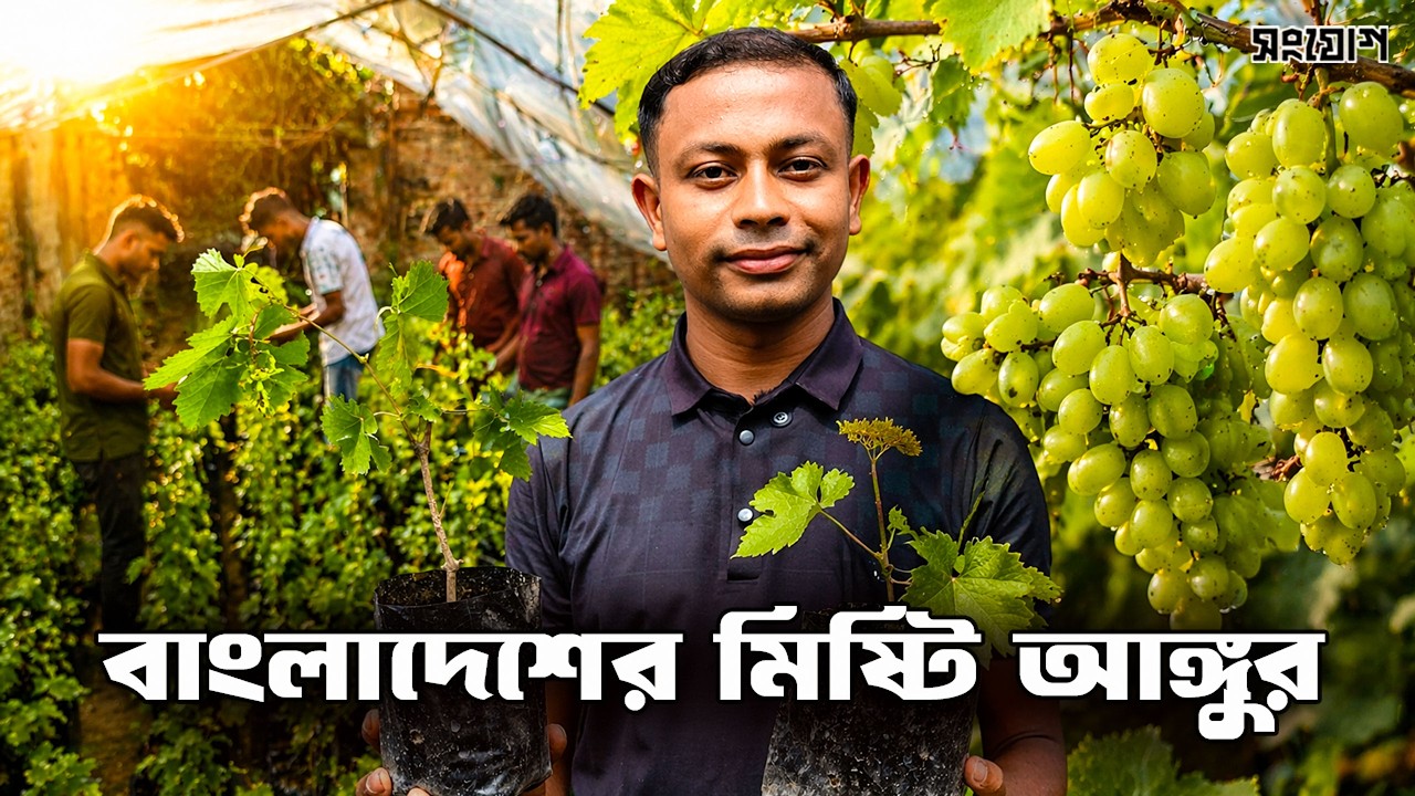 ২টি চারা থেকে কোটি টাকার স্বপ্ন