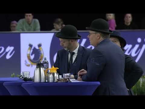 HK 2026 – Event 2 – Studbook Stallions 13 years and older – Spanish