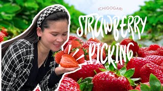 STRAWBERRY PICKING