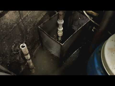 Drain Flies & Fruit Flies Thrive in Restaurant in Lanoka Harbor, NJ