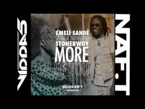 EMELI SANDE & NANA ROGUES more of you (booker t afro house vocal mix)