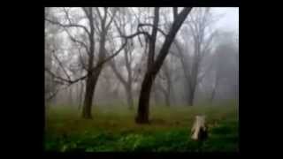 The Doors - Wintertime Love [HQ]