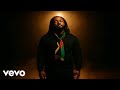 ZIONWAVE NO WEAPON