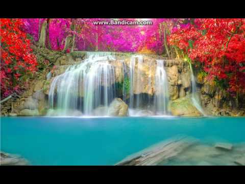 Tha Trickaz & Apashe   iDynamite