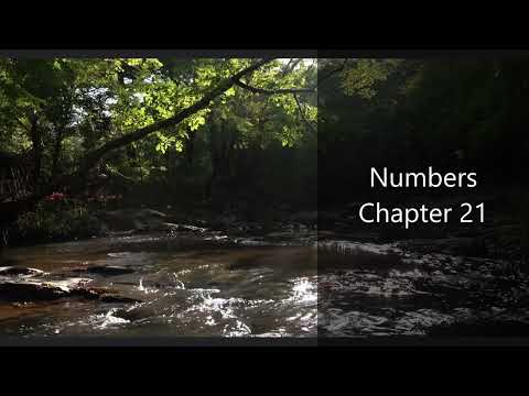 The Book of Numbers Chapter 21 - New King James Version (NKJV) - Audio Bible