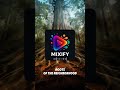 ROOTS OF THE NEIGHBORHOOD By Mixify Mixify Music Shorts