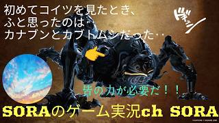 #11　　狩猟解禁！！！　#モンハン　#モンハンワイルズ　視聴者参加型！　　　いろいろ狩るぞ！！！