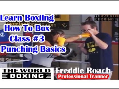 Freddie Roach Class #3 | Teaching Boxing Punching Basics  - Manny Pacquiao's Trainer  | Ho To Punch