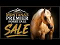 LIVE SALE Montana S Premier Horse Sale 2026 Saturday July 11 Big Sky Arena