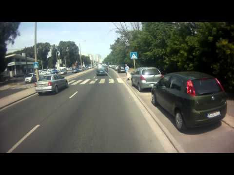 Zebra - Csak akkor szent, ha valaki bringával akar átkelni...