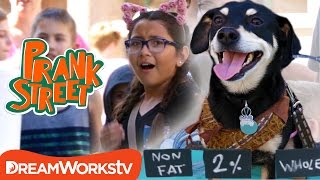 Milking a Dog Prank | PRANK STREET