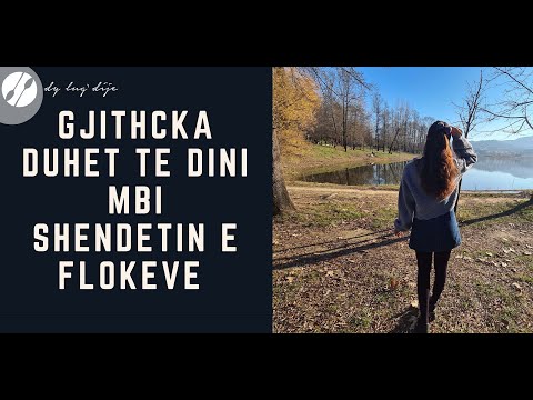 Gjithcka Duhet Te Dini Mbi Shendetin e Flokeve