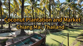 Don't Miss Out on Chiang Mai's Coconut Plantation & Market