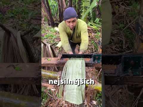 Je tenhle člověk tarzan!?