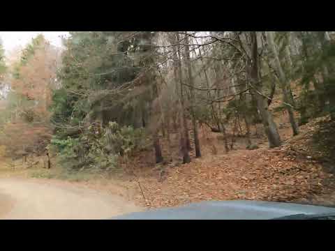 Gura Teghii - Plaiul Nucului (DJ203K)