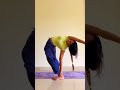 Back Forward Bending Yoga With Urmi Pandya