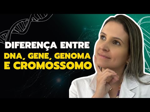 DNA, Gene, Genoma e cromossomo qual é a diferença entre eles ?