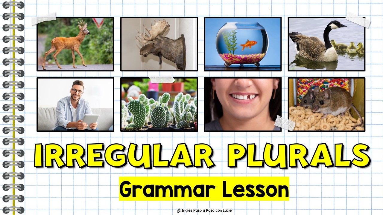 Cómo Usar Plurales Irregulares en Inglés | Gramática Básica en Inglés